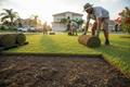 Crew laying fresh sod rolls during Florida lawn renovation