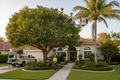 Arborist trimming ornamental tree and palm in Florida landscape
